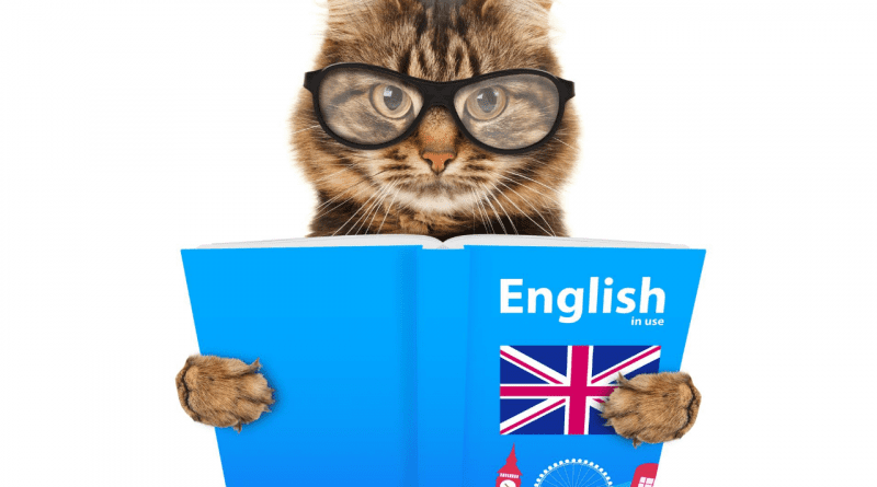 Los 10 libros de gramática inglesa que necesitas y otros recursos para  estudiarla gratis