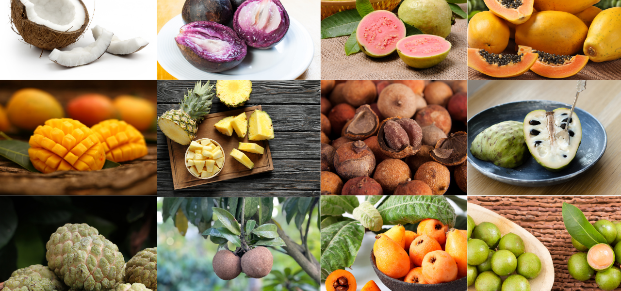 Las 13 frutas cubanas más populares y deliciosas