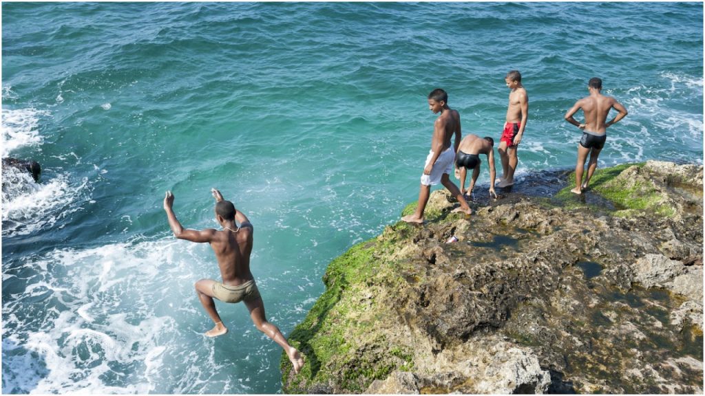 nadar con tiburones cuba