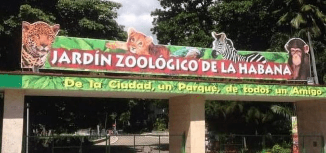 Detectan gripe aviar en Zoológico de La Habana
