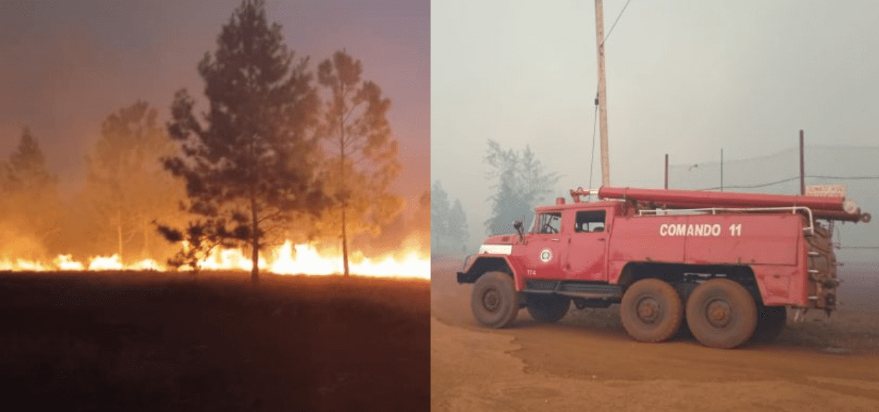 Incendio en oriente de Cuba arrasa con 5000 hectáreas de bosque