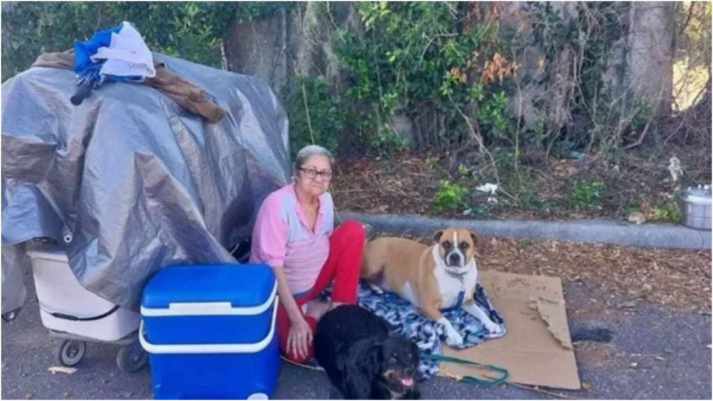 Ayuda abuela cubana tampa