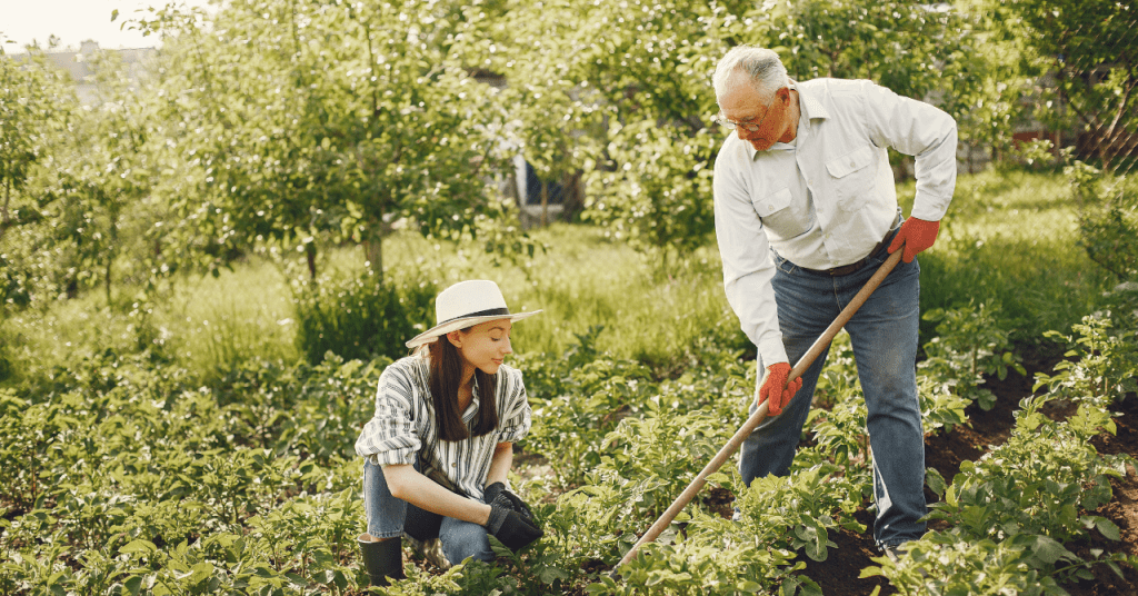 Los 10 productos esenciales para tu jardín