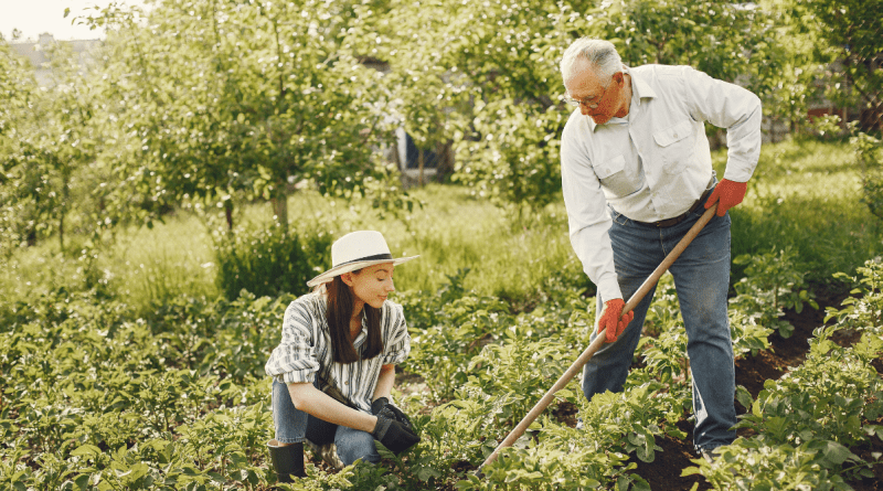 Los 10 productos esenciales para tu jardín