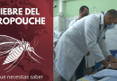 Confirman presencia del virus de Oropouche en Santiago de Cuba