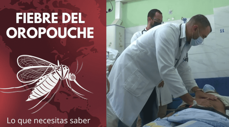 Confirman presencia del virus de Oropouche en Santiago de Cuba