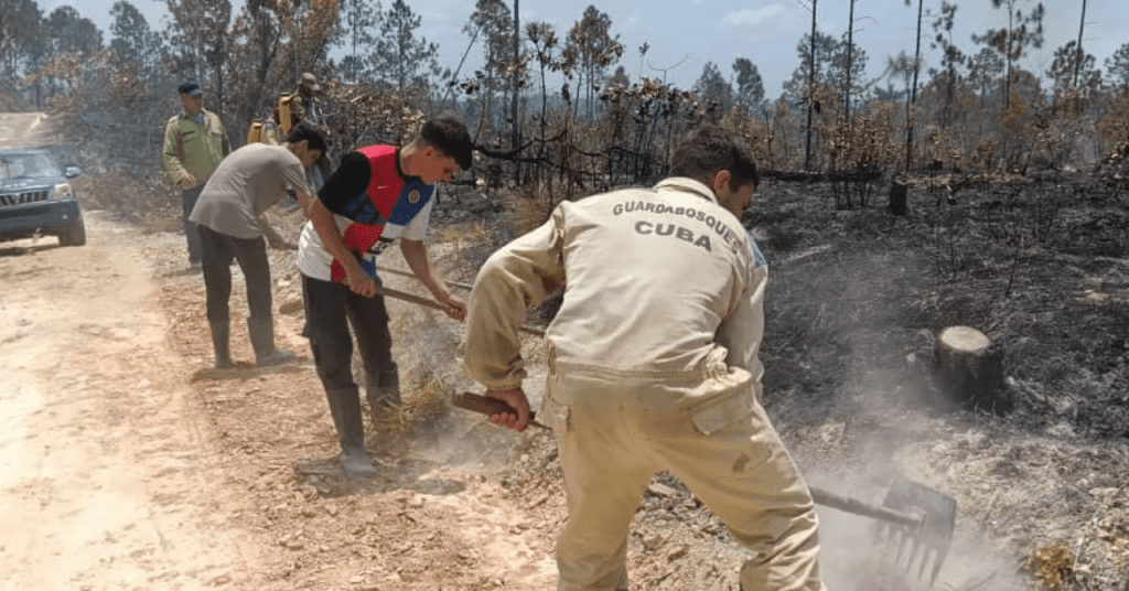 Incendio en Pinar del Río: Más de 540 Hectáreas de Bosque Afectadas