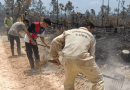 Incendio en Pinar del Río: Más de 540 Hectáreas de Bosque Afectadas