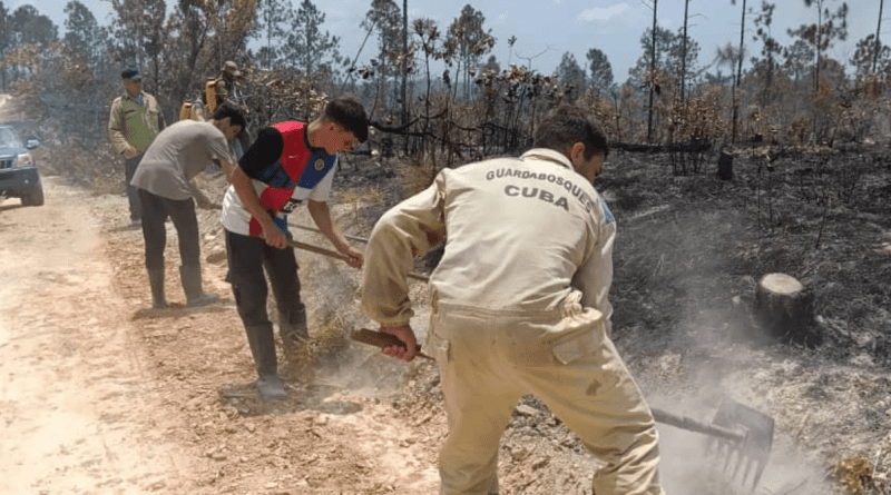 Incendio en Pinar del Río: Más de 540 Hectáreas de Bosque Afectadas