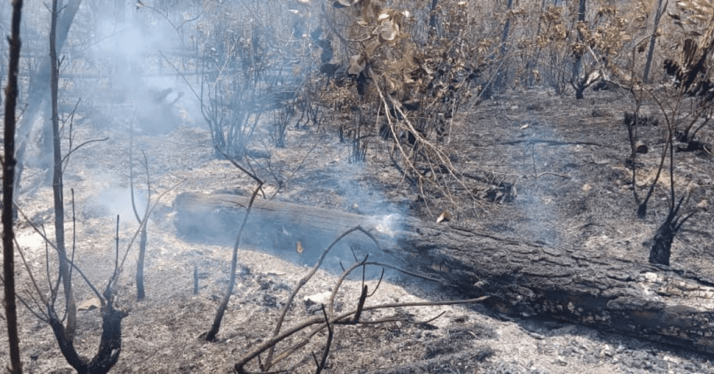  incendio en Pinar del Río