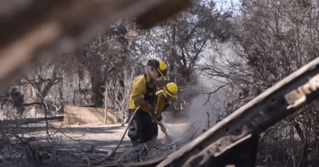 Los incendios forestales en Los Ángeles dejan a famosos sin hogar, destruyendo mansiones de Hollywood.